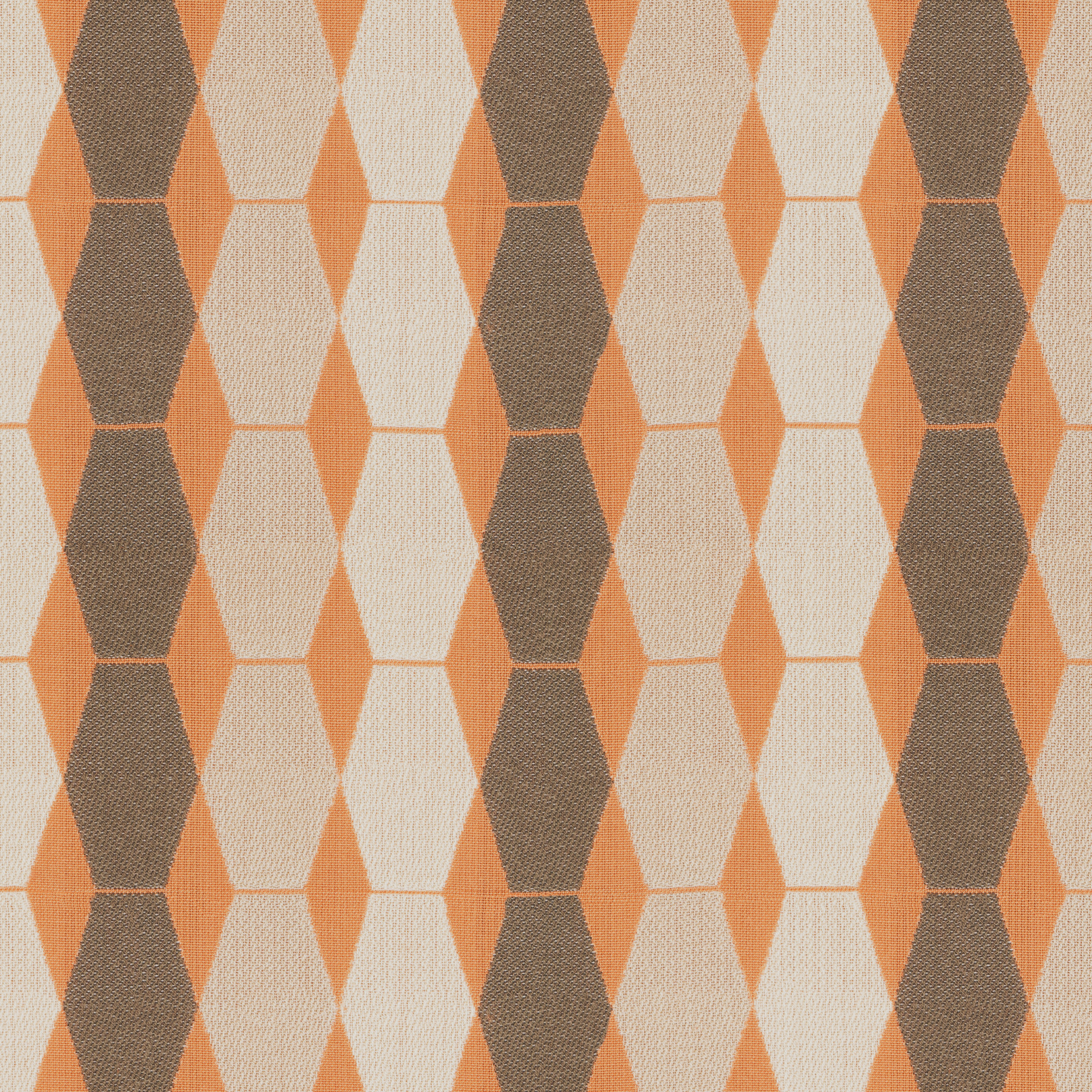 Arco-Pumpkin-Spice
